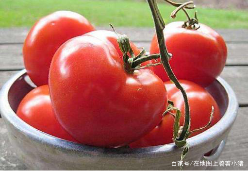 吃西红柿的好处_西红柿生是吃好，还是熟吃好？