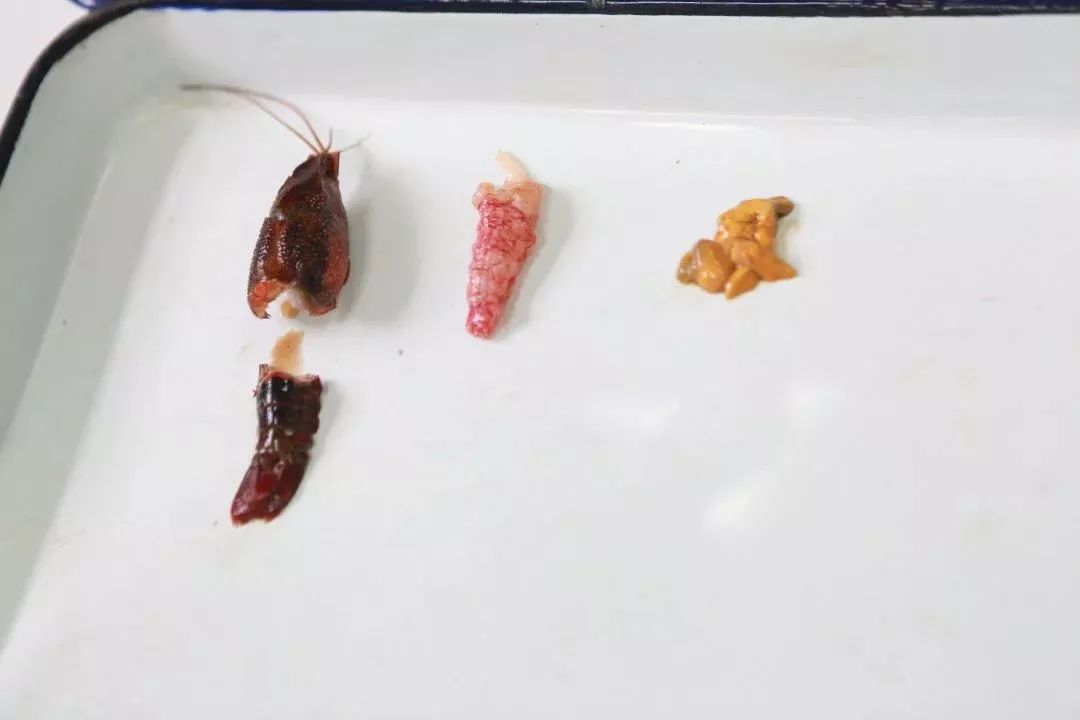 虾煮出来发黑是重金属超标吗 44584145cd154b99a13e4bddb578bdcc.jpeg