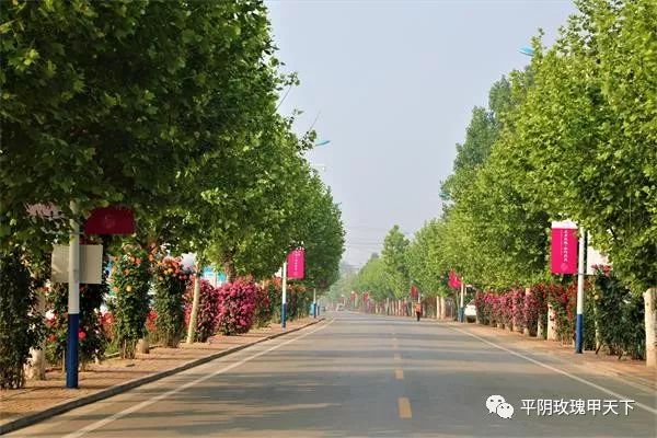 平阴gdp_山东86个县 市 经济实力排行榜,快看看你家排第几