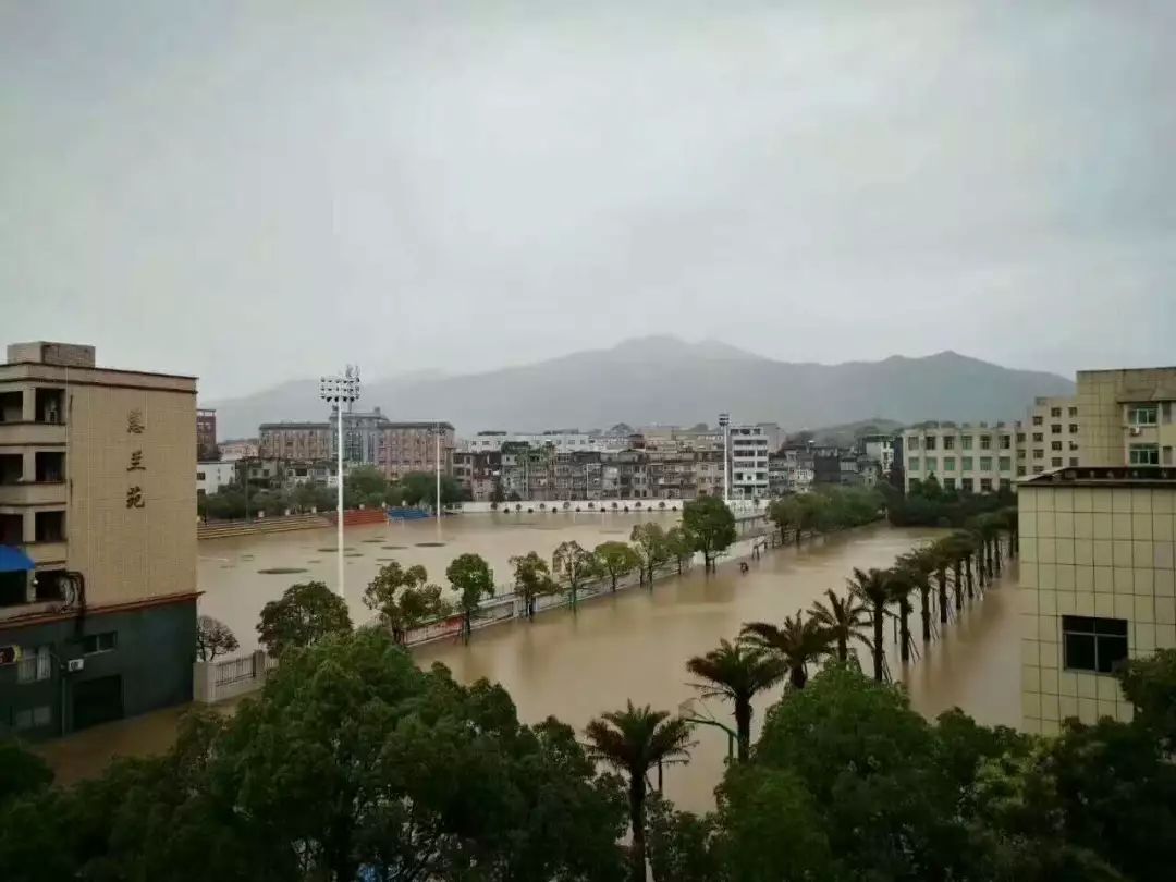 芦溪县上埠镇居民家被水淹 摄影/易建国萍水河上游萍乡西门一起感受下
