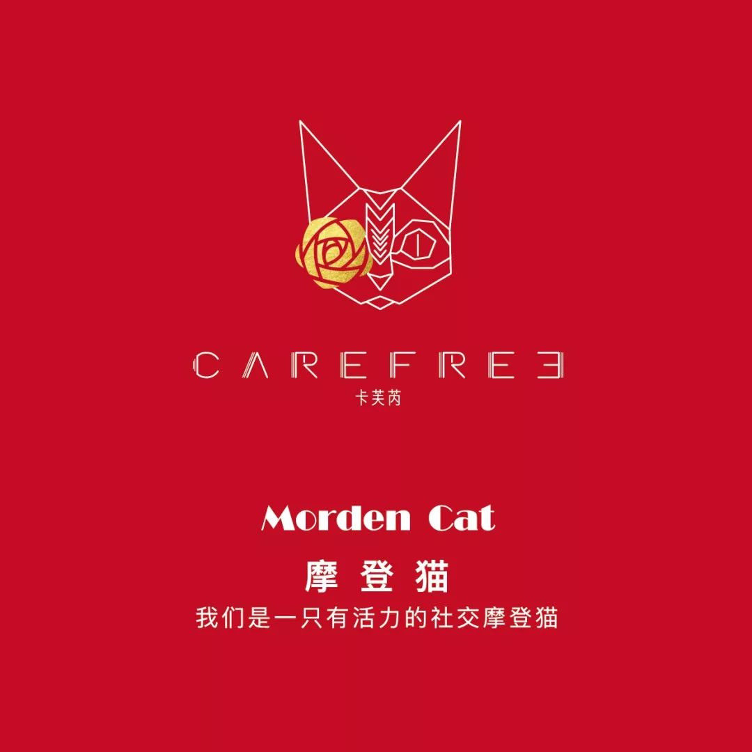 carefree卡芙芮2019冬季新品发布会justfouyou