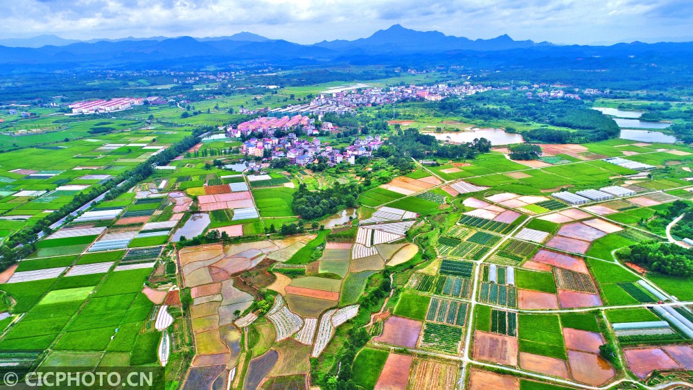 江西永丰:夏至田园 多彩画卷