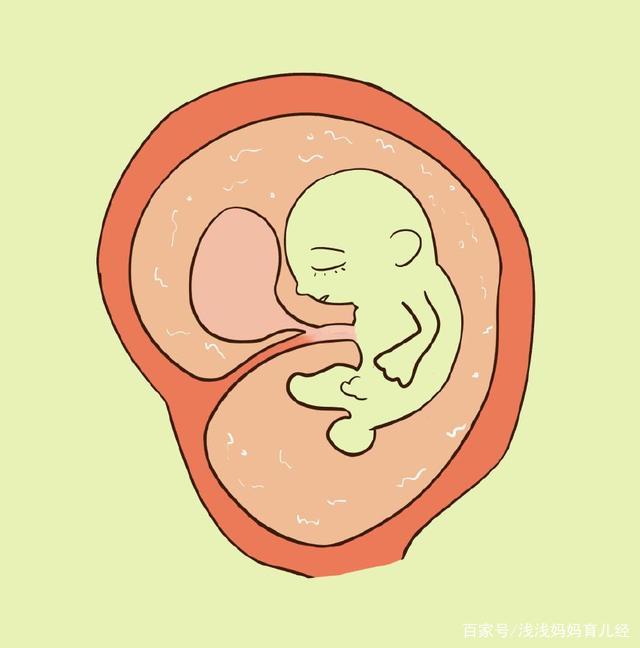 怀孕4个月，怎么判断胎儿是否发育正常？3个简单方法，孕妈收好|如何判断胎儿正常发育