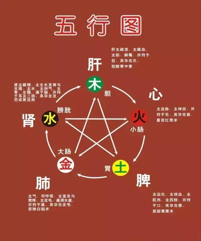 入门中医必读,一文读懂五行学说