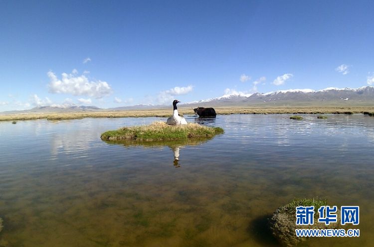 第一个在生物多样性保护领域组织实施的外资项目,也是青海省开展国家