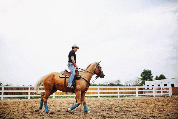 内部共有129个六边形空间,400多扇门,800多个门把手,多条选择线路.