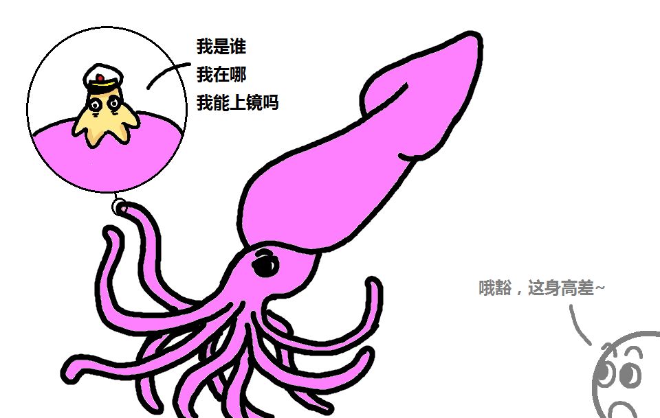 人们曾测量一只身长17.07米大王乌贼,其触手上的吸盘直径为9.5厘米.