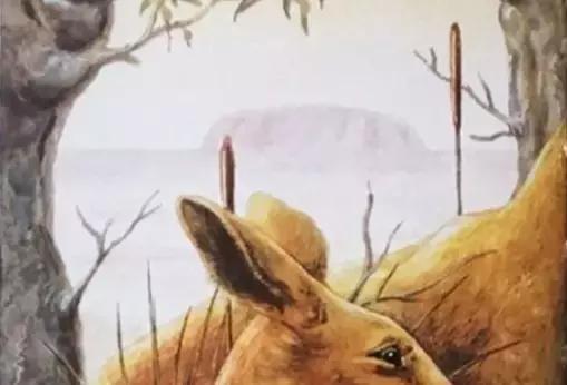 梦境解析，猫狗交织的梦境奥秘