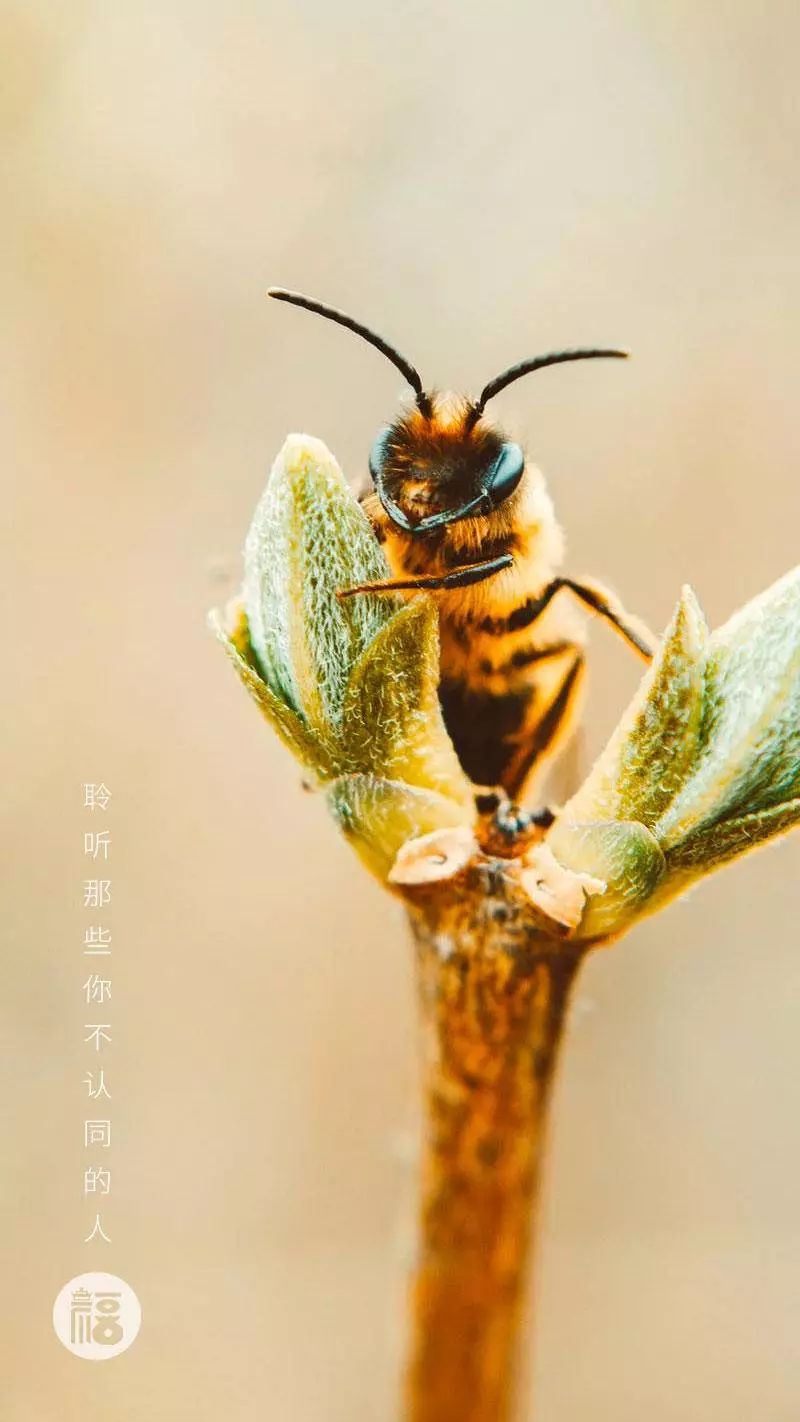 灞辨潙鍙樹簡鏍蜂簩鑳℃_浐灞湿地公园树装迷宫(3)