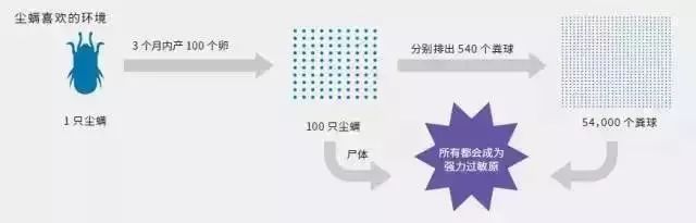                     梅雨季经常做这件事，孩子远离过敏，防止又红又痒的“螨虫包”