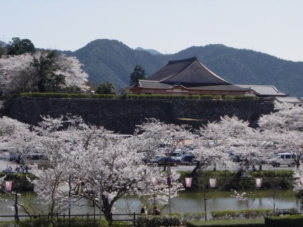 ，銳參考丨「曼哈頓」要不要改成「曼哈屯」？看看外國城市為什麼改地名 旅遊 第5張