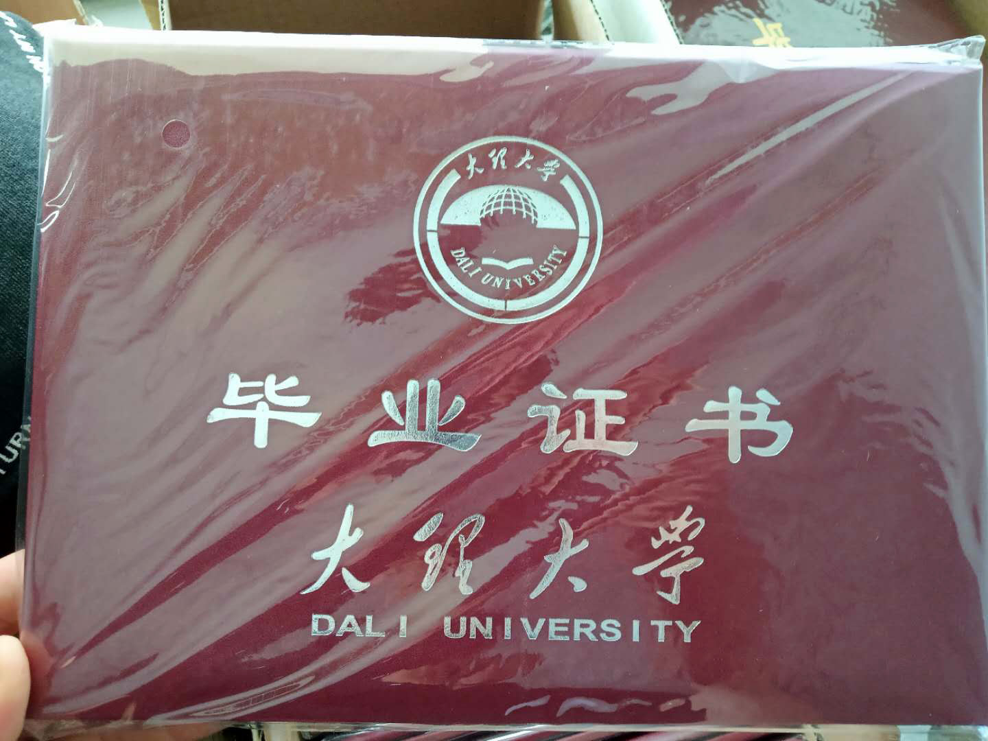 成人高考在籍函授生学生证样式参考