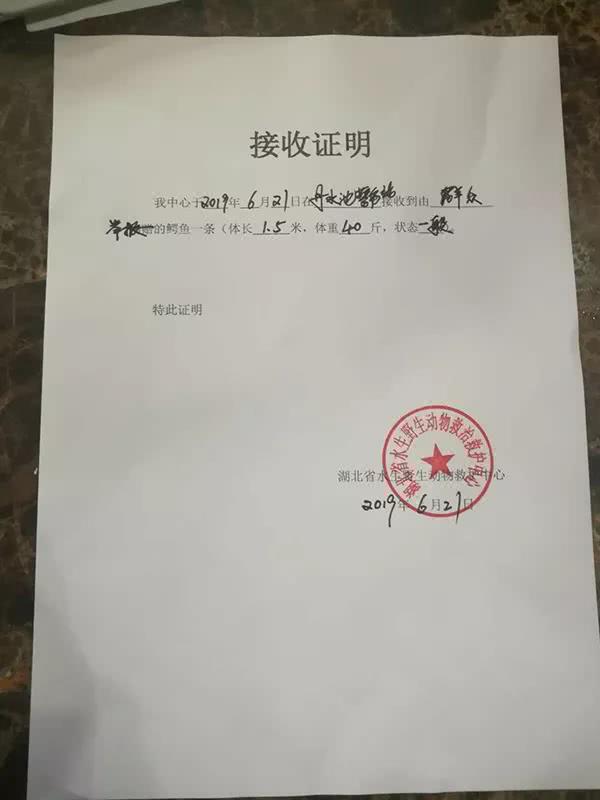 湖北省水生野生动物救治救护中心接收证明.