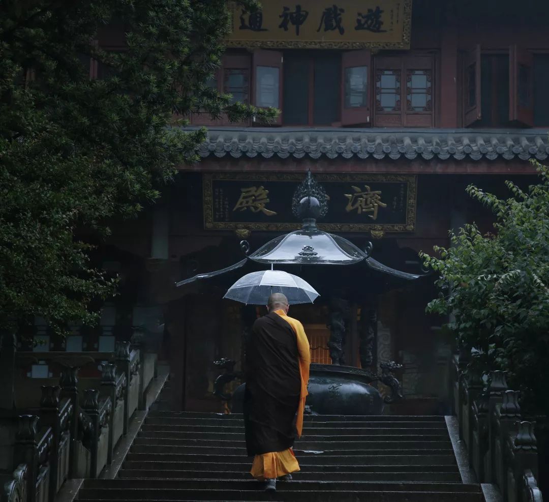 参禅| 雷人悟道