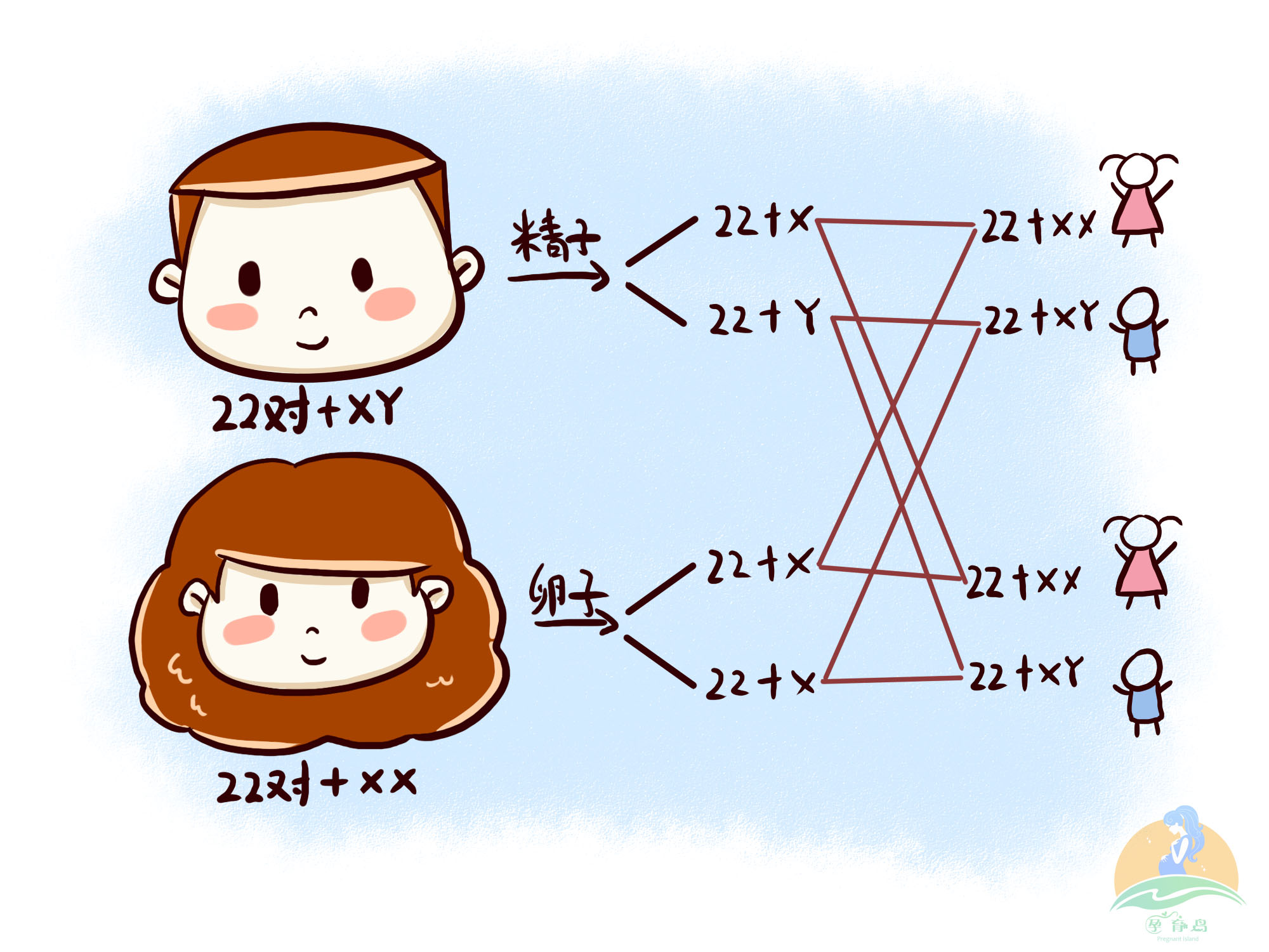 原创孩子的智商源自遗传还是孕期的营养可能和你想的不一样