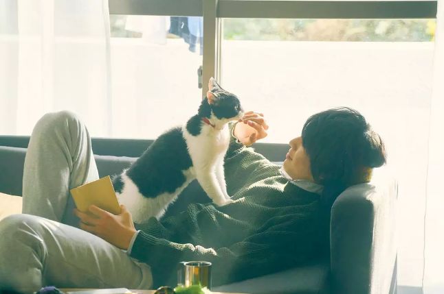 急救电影推荐 f9d7899dbab64c7c8501f2000137a2e9.jpeg