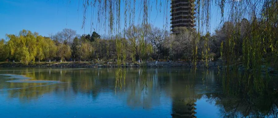 清华北大复旦招生宣传片曝光,孩子不想读书就