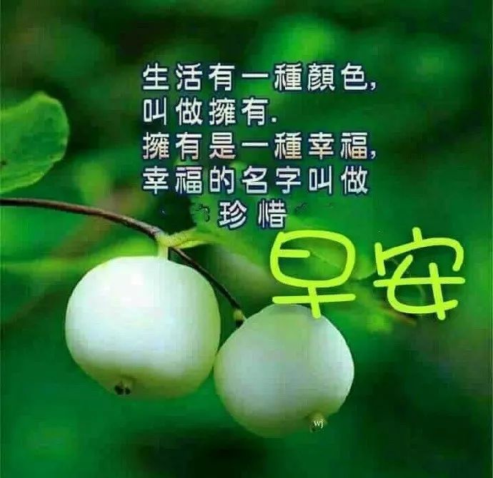 清晨问候朋友的早安阳光暖心句子,早晨好漂亮祝福图片