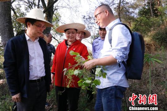 探访江西德兴深山"国字号"中医药试验培训基地