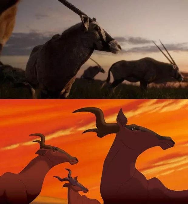 狮子王丨 7月12日,影院撸大猫!