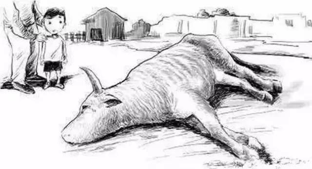 梦境解析，坟墓中的牛下崽——深层心理与象征意义的探索