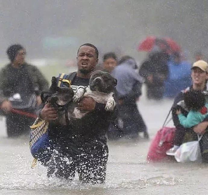 地震你带啥出来了？ 俩只大傻狗！