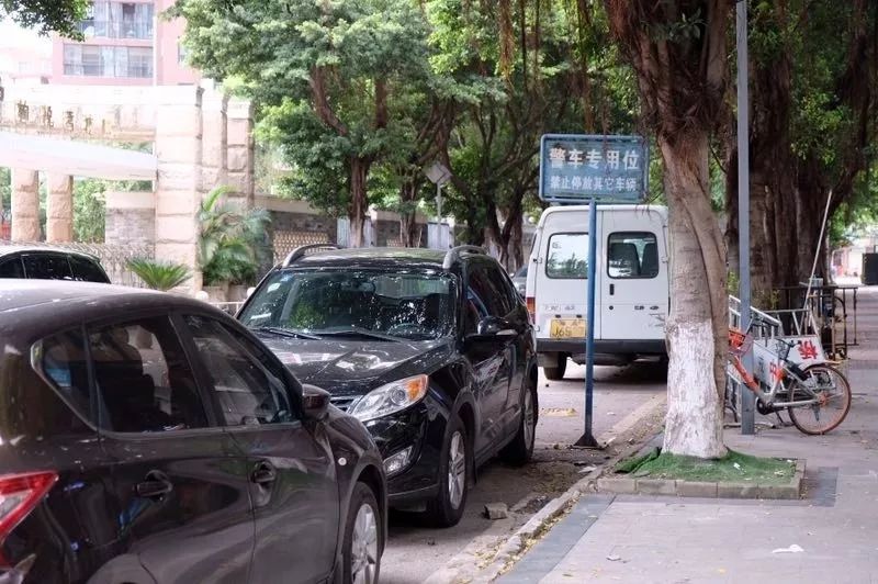 小区车辆乱停乱放 道路两边违停占道