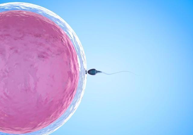 排卵日后，若女人怀上了，几天后可以测出来？|排卵日有几天
