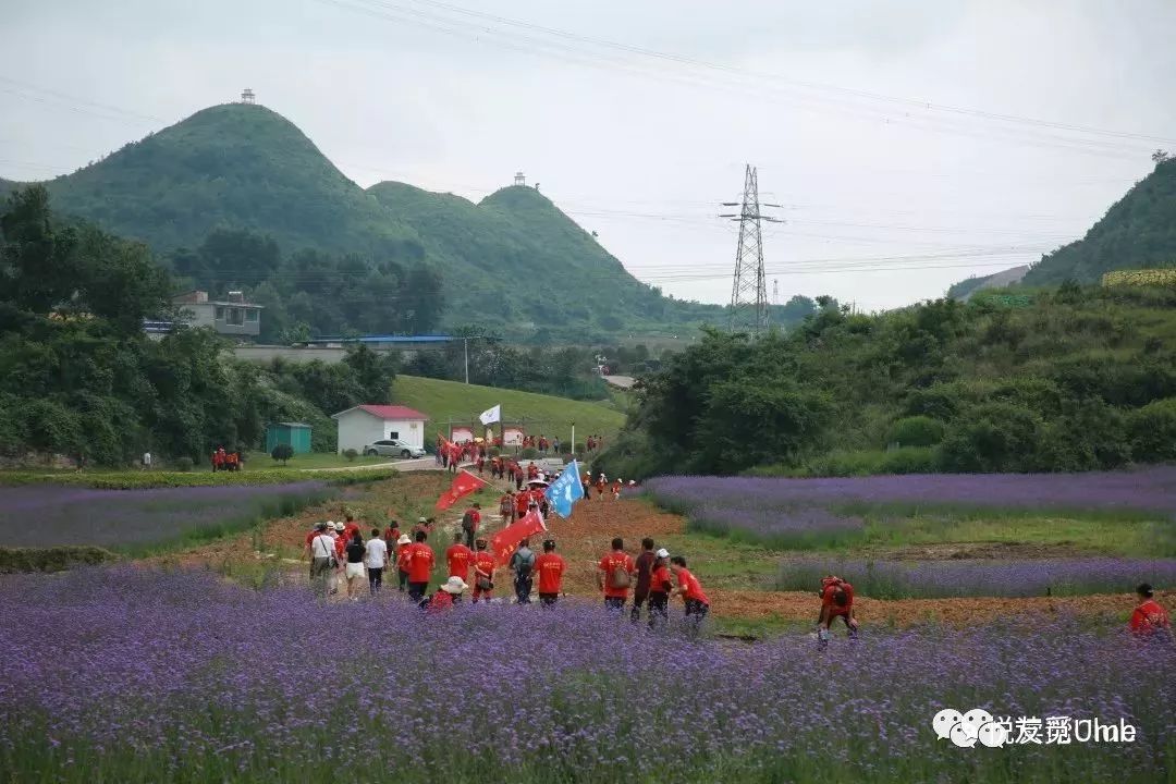 千人相聚龙兴村,点燃红色激情_轿子山镇