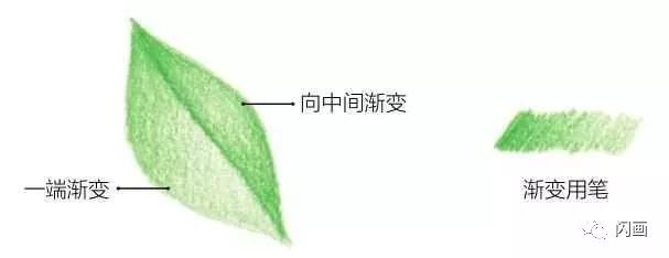 彩铅花卉基础涂色技法