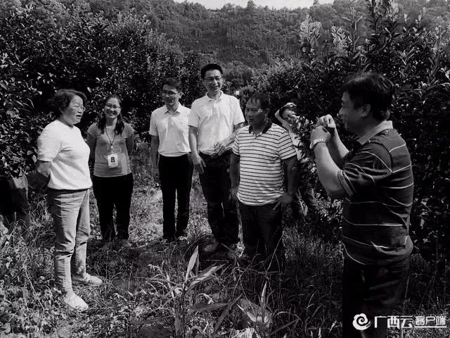 致敬扶贫英雄,青年楷模黄文秀:30岁年轻生命定格扶贫路上