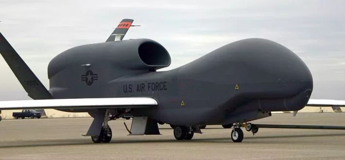 ȫ��ӥ���˻�