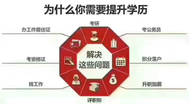 大学没考上我该怎么办