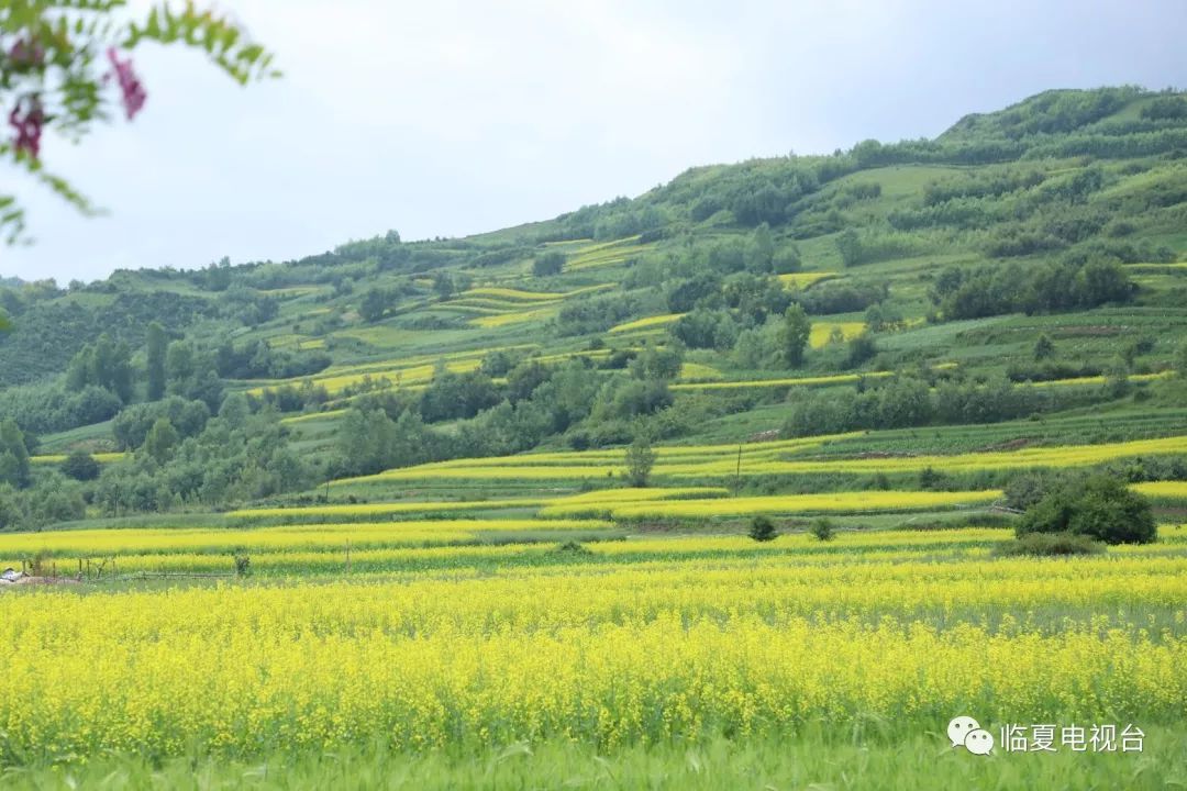 临夏州各地GDP_临夏州人民医院图片