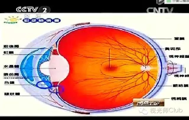 八个月宝宝视力普遍偏低么 a02881a021534a11b28a6c696d006698.jpeg