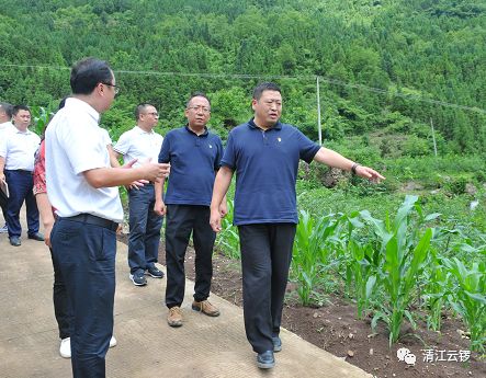 绵阳市委常委组织部部长岳勇到雁门镇调研指导工作