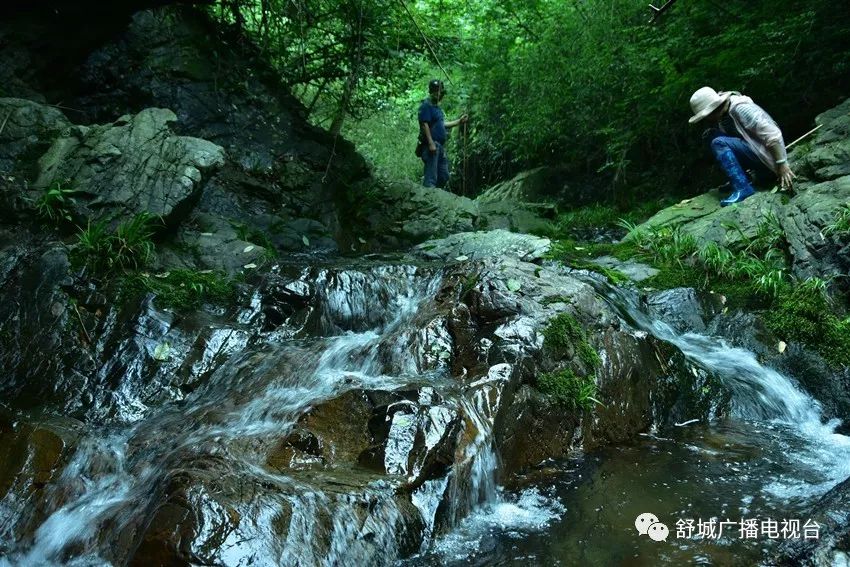 舒城:又一风景区项目启动建设!