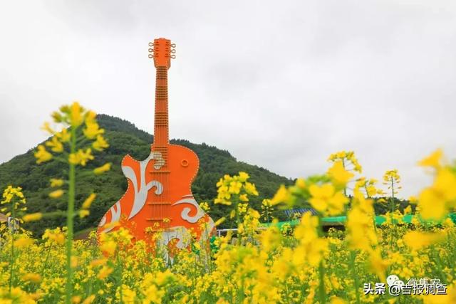 集安油菜花海——难忘那抹醉人的乡愁