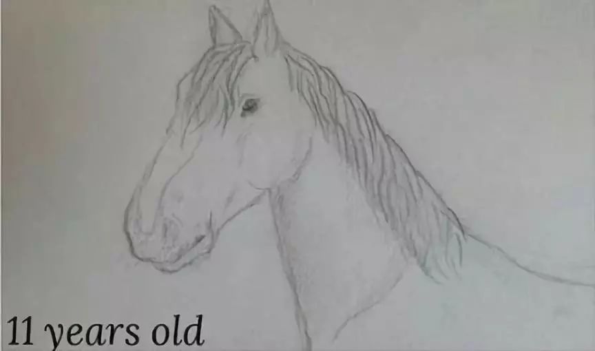 一匹马画了16年，23岁美女学渣人生逆风翻盘