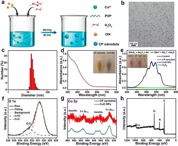 jacs 报道: 过氧化铜纳米点的制备及其h2o2自供型化学