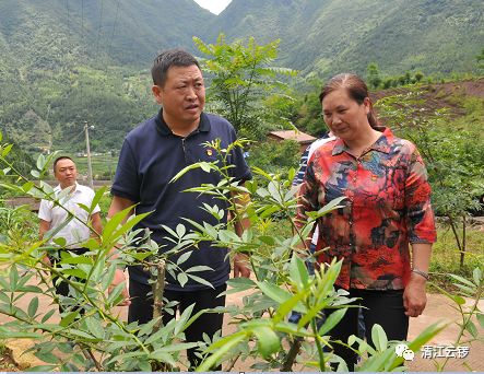 绵阳市委常委组织部部长岳勇到雁门镇调研指导工作