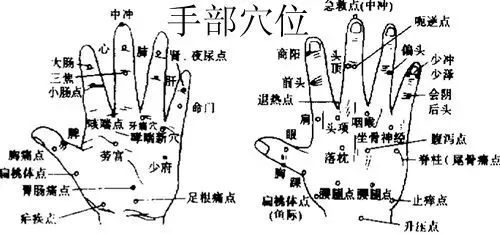 [每天按摩这里2分钟，缓解你的颈椎病、关节炎、便秘……] 颈椎病怎么按摩缓解