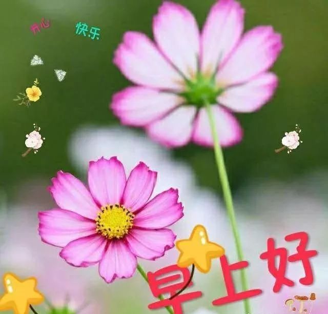 早晨问候朋友的祝福语句子 早上好各种动画图片大全