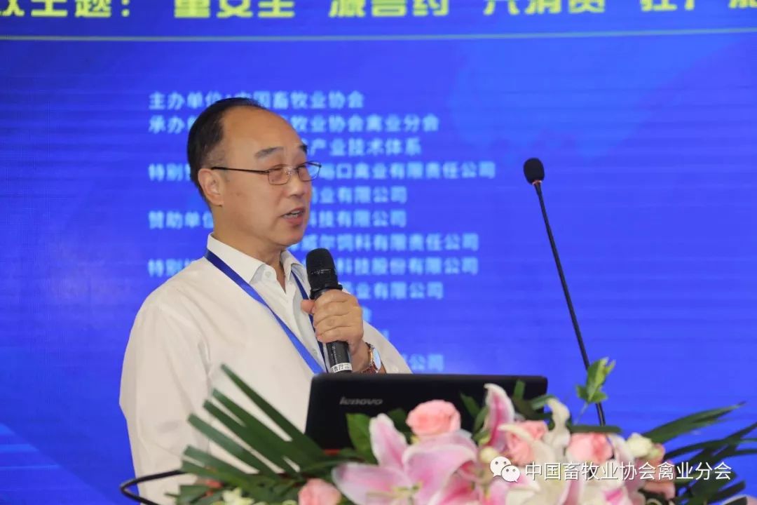 第九届(2019)中国蛋鸡行业发展大会在北京