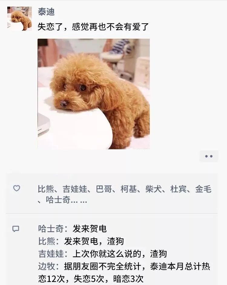 凌晨三点,狗狗突然发了条朋友圈.