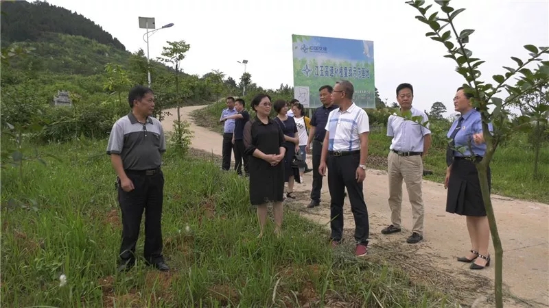 江玉高速补植复绿示范基地视察县政协主席刘洪斌,县政协副主席姚敦云