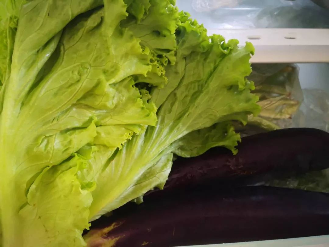 这些蔬菜储藏不用放冰箱，特殊的技巧你知道吗？|冷藏冰箱