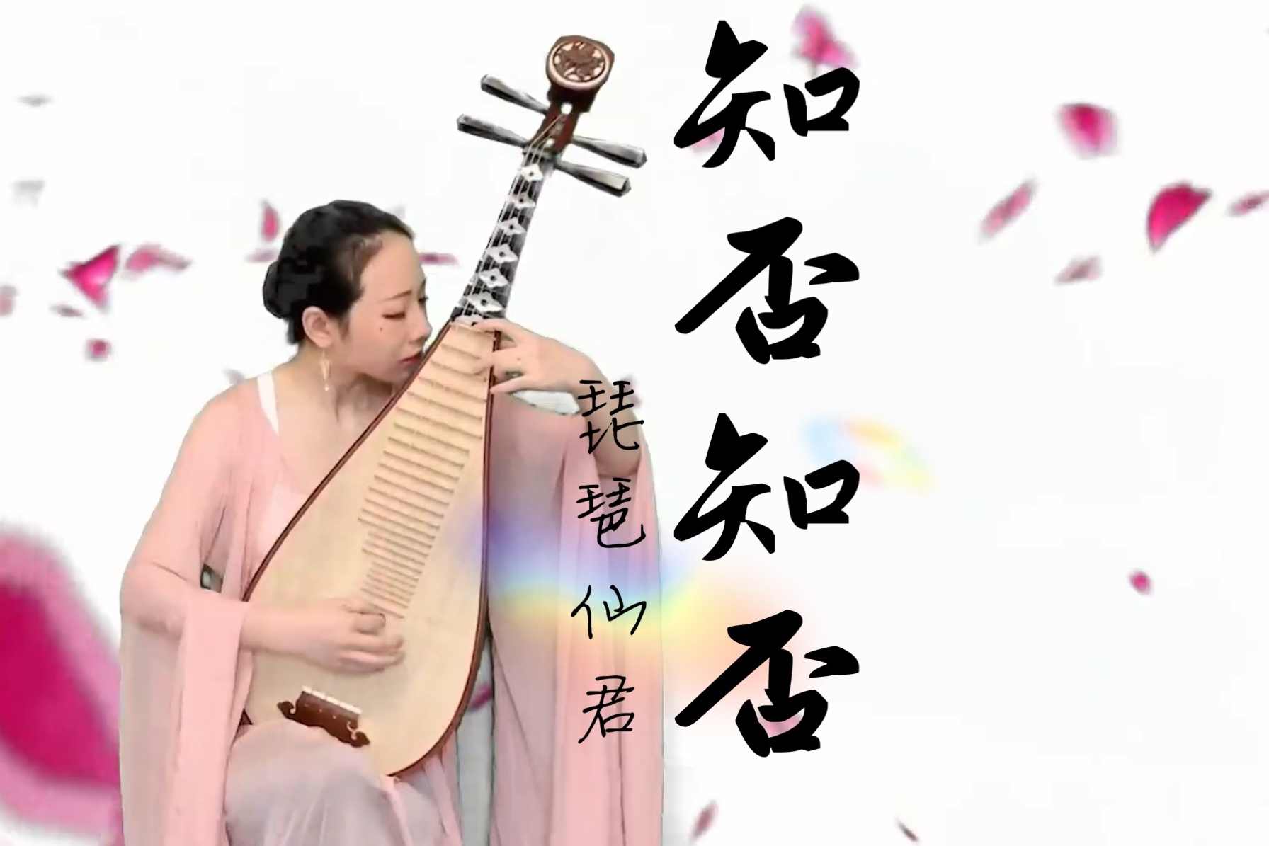 唯美琵琶《知否知否》