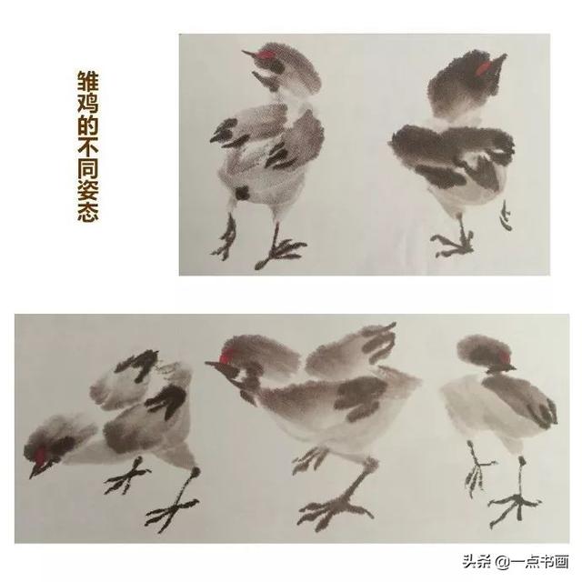 跟徐湛老师学画写意小鸡