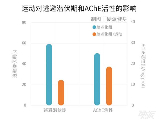 GDP胆碱